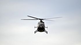 VIDEO Un tânăr din Iași, mușcat de șarpe. Serul salvator i-a fost adus cu elicopterul, din alt județ